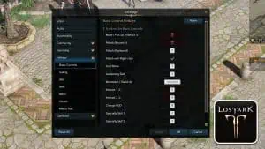 Read more about the article Lost Ark – How to Change Mouse Controls & Keybindings
