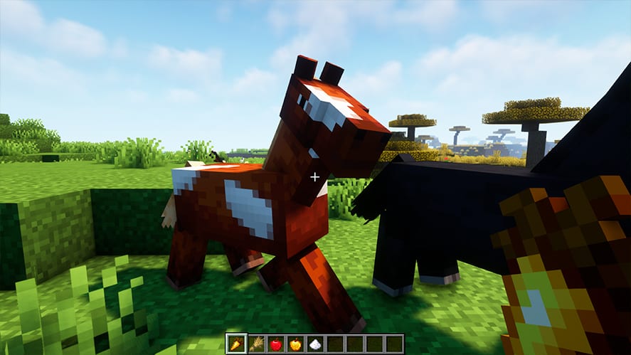 Minecraft feeding horse golden carrot