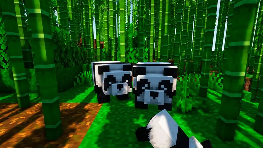 Minecraft feeding pandas with bamboo