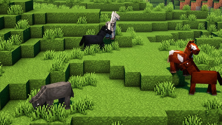 Minecraft herd of horses in plains biome
