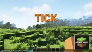 Read more about the article Minecraft – How Many Ticks Are There in a Second?