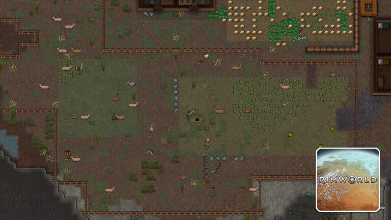 Read more about the article RimWorld – How to Feed Animals (Pets & Pen)