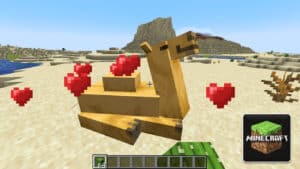 Read more about the article Minecraft – What to Feed Camels?