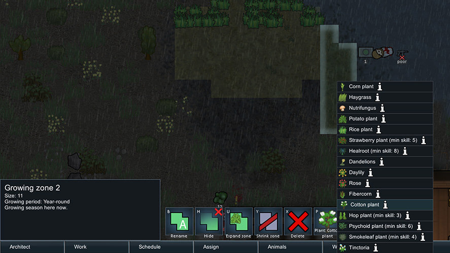 RimWorld How to Get and Make Cloth Cotton Plant