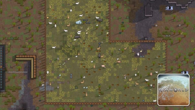 Read more about the article RimWorld – What do Chickens Eat?