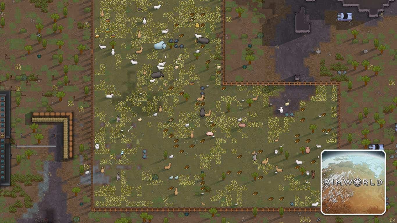 You are currently viewing RimWorld – What do Chickens Eat?