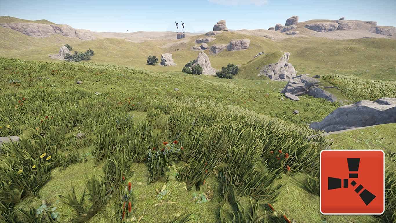 Rust – How to Turn Off Grass: Is It Possible?