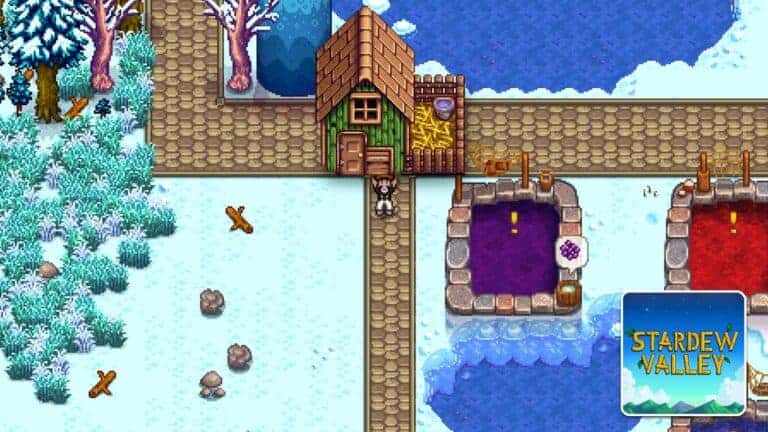 Read more about the article Stardew Valley – Can You Move Buildings?