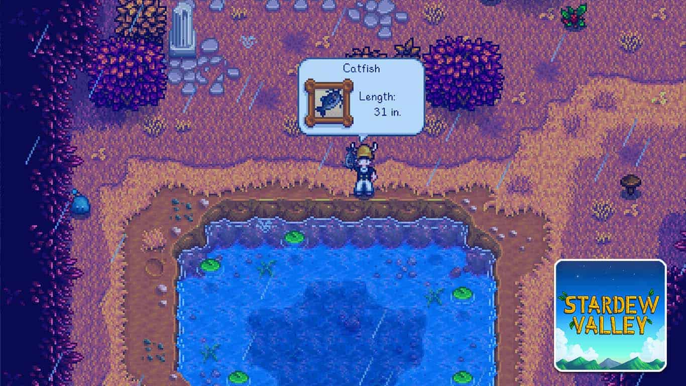 You are currently viewing Stardew Valley – Where to Catch Catfish