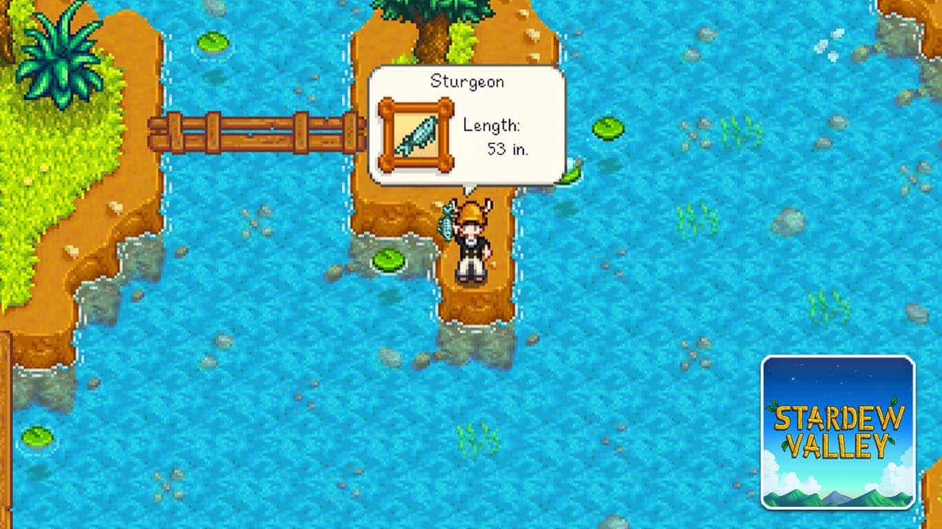 You are currently viewing Stardew Valley – Where to Catch Sturgeon