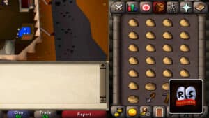 Read more about the article Old School RuneScape (OSRS) – What to Do With Fossils