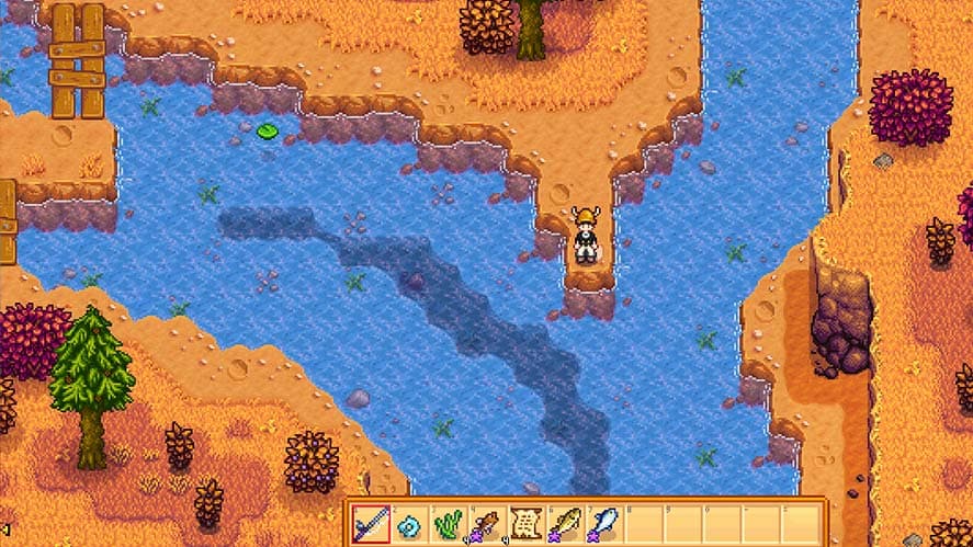 Stardew Valley – What is the Best Place to Fish Cindersap Forest