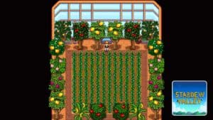 Read more about the article Stardew Valley – Best Crops to Grow in the Greenhouse