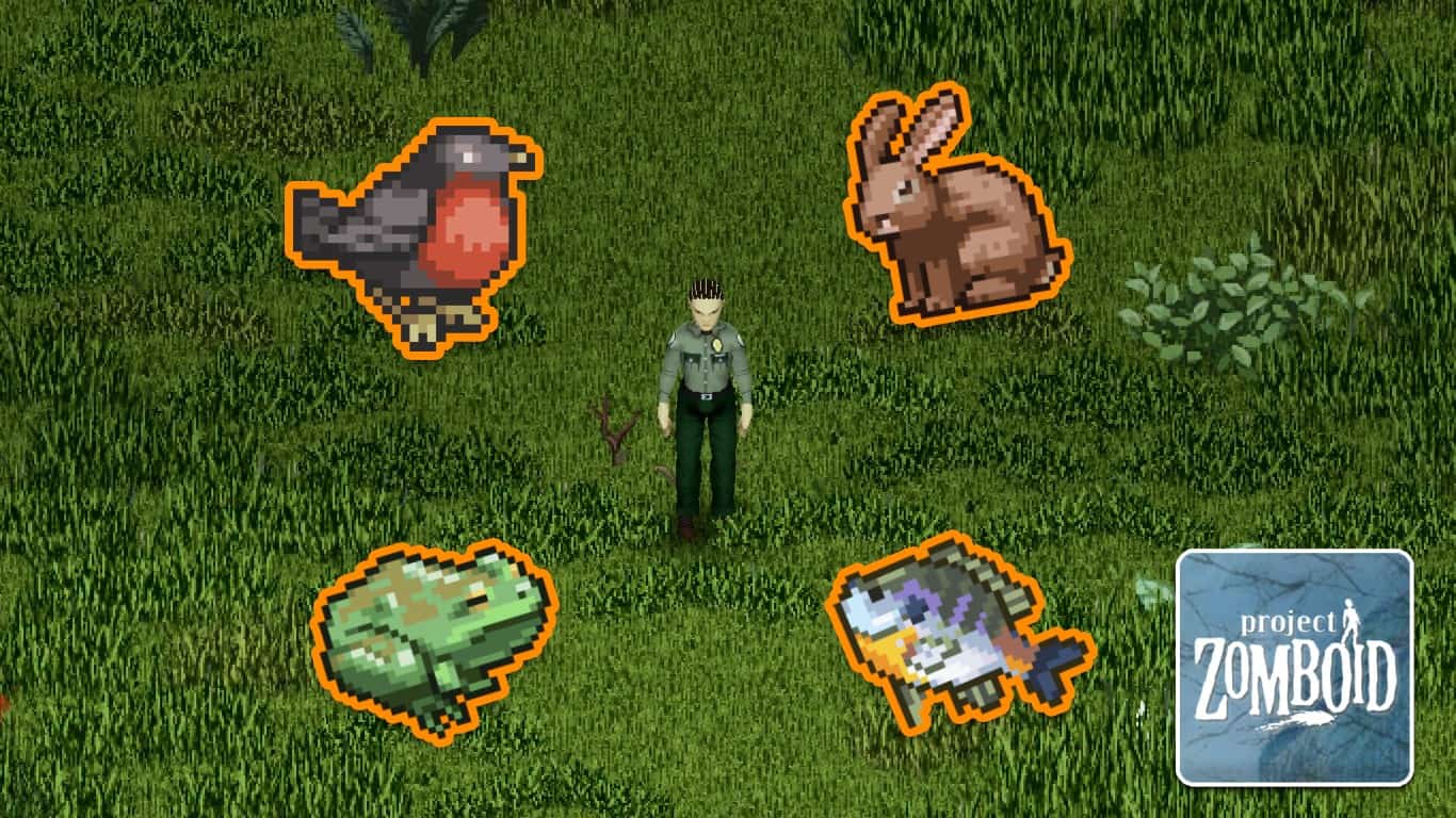 You are currently viewing Project Zomboid – List of All Animals & Their Purpose