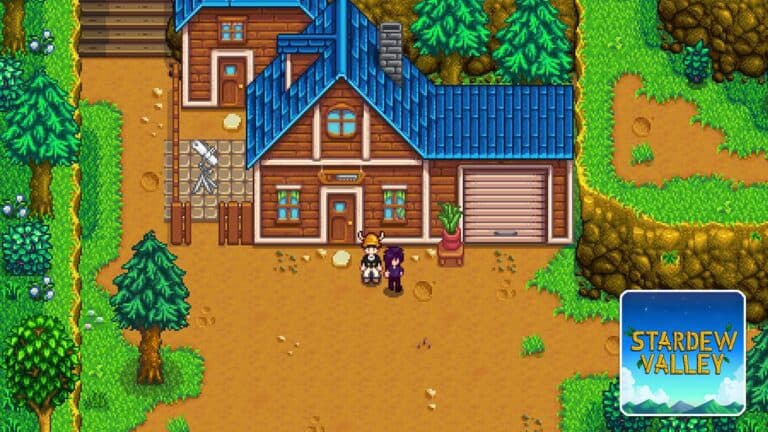 Read more about the article Stardew Valley – Where to Find Sebastian