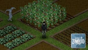 Read more about the article Project Zomboid – What Are the Best Crops to Grow?