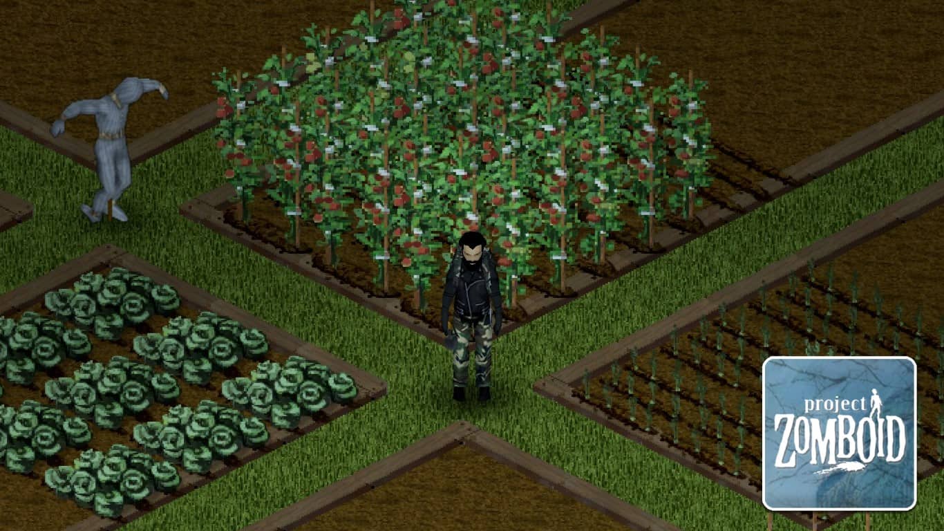 You are currently viewing Project Zomboid – What Are the Best Crops to Grow?