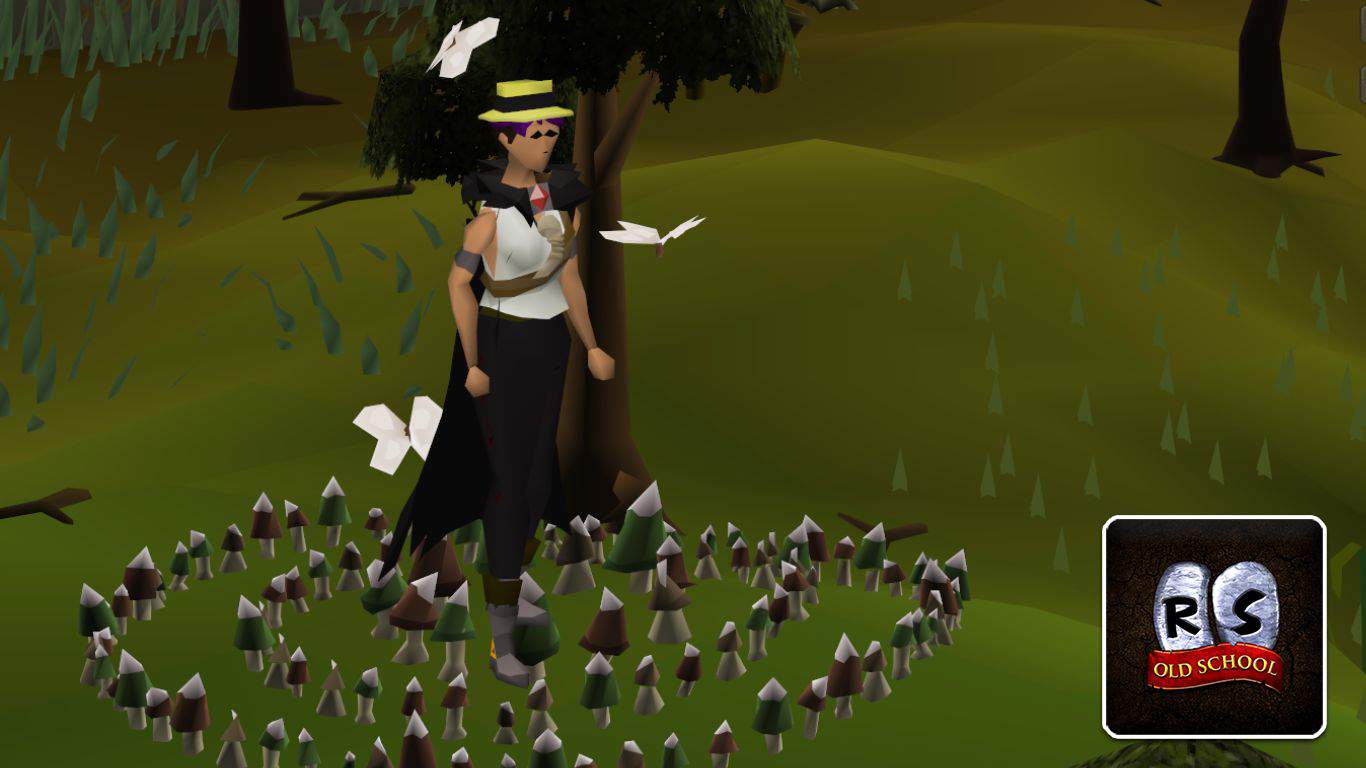 You are currently viewing Old School RuneScape (OSRS) – How to Use Fairy Rings