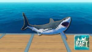 Read more about the article Raft – How to Stop Shark Attacks