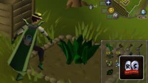 Read more about the article Old School RuneScape (OSRS) – How Does Farming Work?
