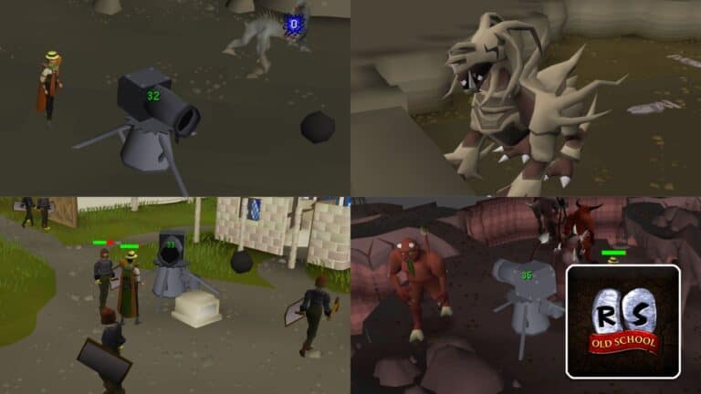 Read more about the article Old School RuneScape (OSRS) – Best Cannon Spots
